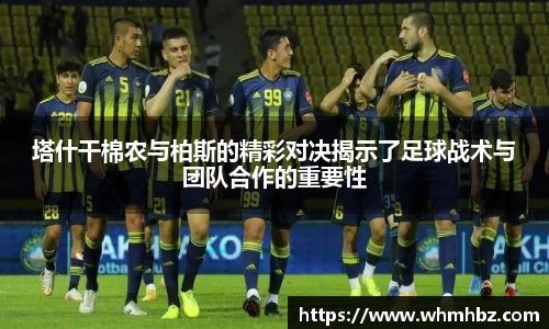 zoty中欧官方网站